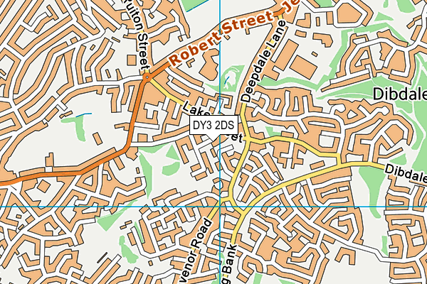 DY3 2DS map - OS VectorMap District (Ordnance Survey) DY3 2DS map - OS VectorMap District (Ordnance Survey)