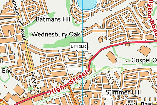 DY4 9LR map - OS VectorMap District (Ordnance Survey) DY4 9LR map - OS VectorMap District (Ordnance Survey)