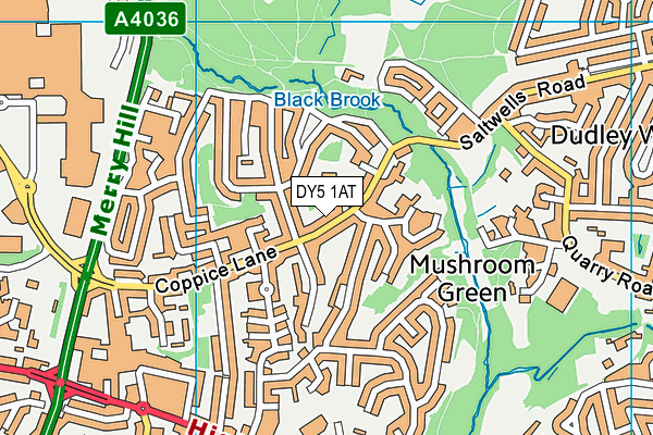 DY5 1AT map - OS VectorMap District (Ordnance Survey) DY5 1AT map - OS VectorMap District (Ordnance Survey)
