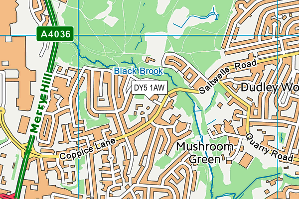 DY5 1AW map - OS VectorMap District (Ordnance Survey) DY5 1AW map - OS VectorMap District (Ordnance Survey)