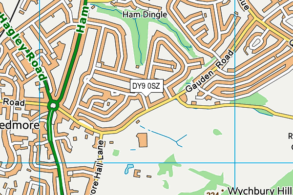 DY9 0SZ map - OS VectorMap District (Ordnance Survey) DY9 0SZ map - OS VectorMap District (Ordnance Survey)