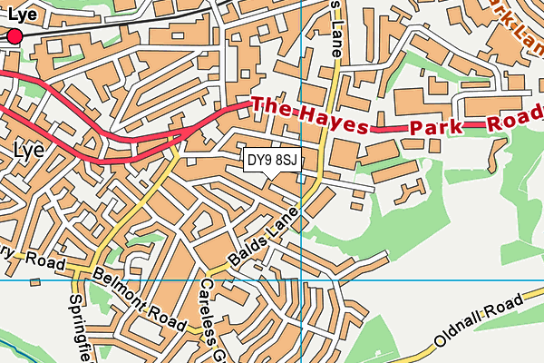 DY9 8SJ map - OS VectorMap District (Ordnance Survey) DY9 8SJ map - OS VectorMap District (Ordnance Survey)