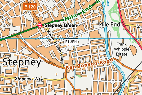 E1 3FH map - OS VectorMap District (Ordnance Survey) E1 3FH map - OS VectorMap District (Ordnance Survey)