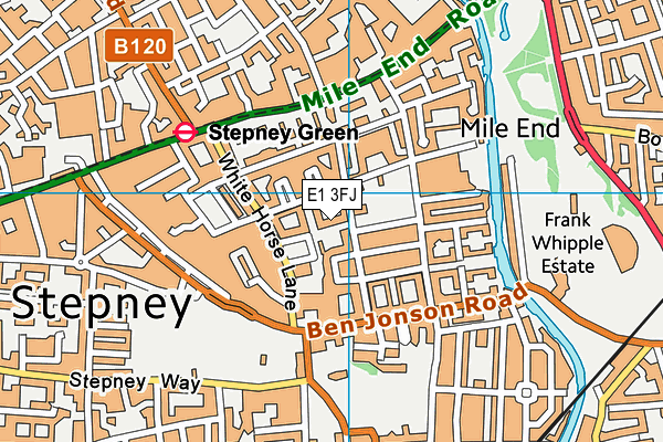 E1 3FJ map - OS VectorMap District (Ordnance Survey) E1 3FJ map - OS VectorMap District (Ordnance Survey)
