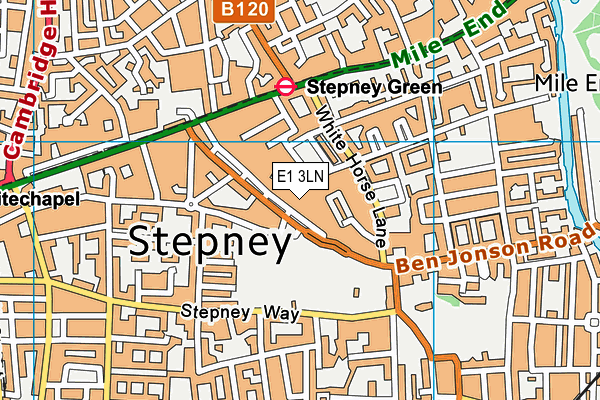 E1 3LN map - OS VectorMap District (Ordnance Survey) E1 3LN map - OS VectorMap District (Ordnance Survey)