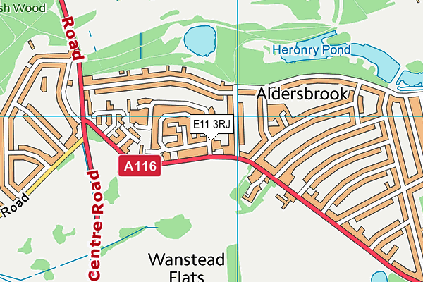 E11 3RJ map - OS VectorMap District (Ordnance Survey) E11 3RJ map - OS VectorMap District (Ordnance Survey)