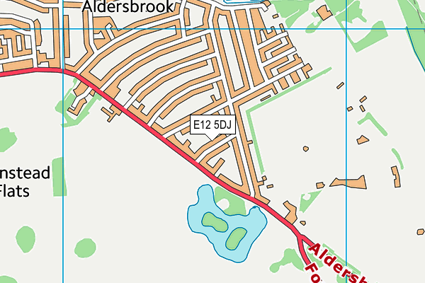E12 5DJ map - OS VectorMap District (Ordnance Survey) E12 5DJ map - OS VectorMap District (Ordnance Survey)