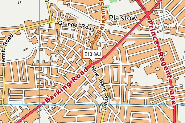 E13 8AJ map - OS VectorMap District (Ordnance Survey)