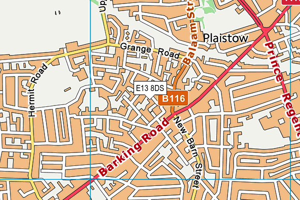 E13 8DS map - OS VectorMap District (Ordnance Survey) E13 8DS map - OS VectorMap District (Ordnance Survey)