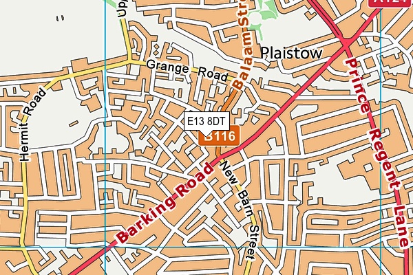 E13 8DT map - OS VectorMap District (Ordnance Survey)