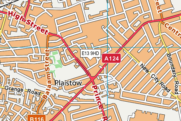 E13 9HD map - OS VectorMap District (Ordnance Survey) E13 9HD map - OS VectorMap District (Ordnance Survey)