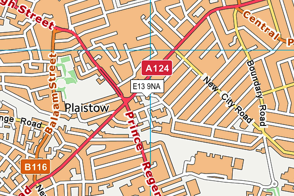 E13 9NA map - OS VectorMap District (Ordnance Survey) E13 9NA map - OS VectorMap District (Ordnance Survey)
