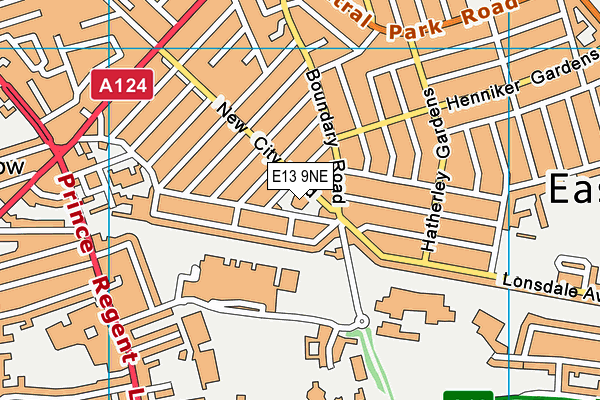E13 9NE map - OS VectorMap District (Ordnance Survey) E13 9NE map - OS VectorMap District (Ordnance Survey)