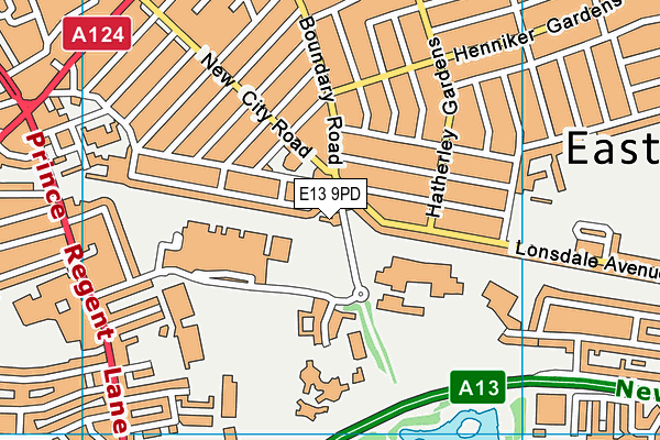 E13 9PD map - OS VectorMap District (Ordnance Survey) E13 9PD map - OS VectorMap District (Ordnance Survey)