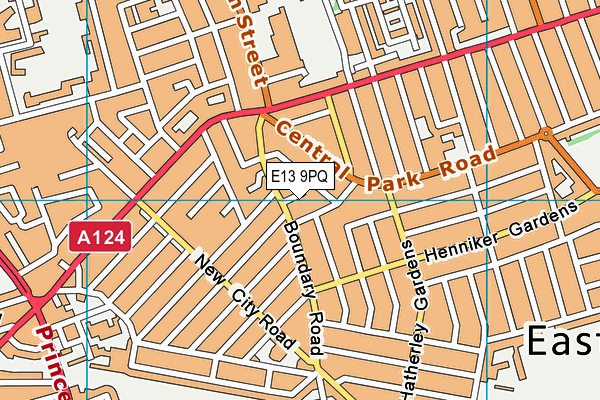 E13 9PQ map - OS VectorMap District (Ordnance Survey) E13 9PQ map - OS VectorMap District (Ordnance Survey)