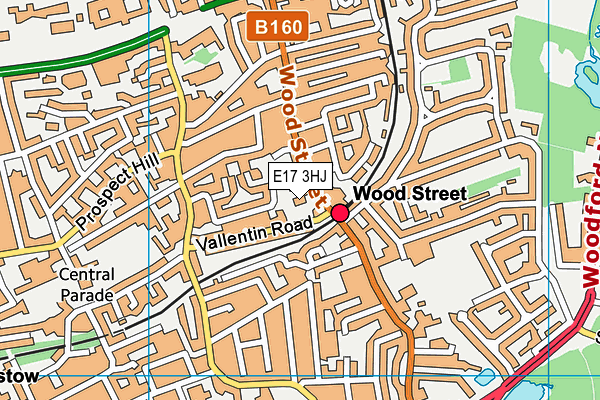 E17 3HJ map - OS VectorMap District (Ordnance Survey) E17 3HJ map - OS VectorMap District (Ordnance Survey)