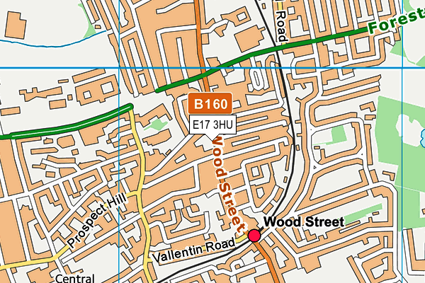 E17 3HU map - OS VectorMap District (Ordnance Survey) E17 3HU map - OS VectorMap District (Ordnance Survey)