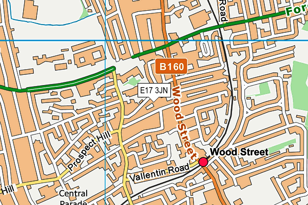 E17 3JN map - OS VectorMap District (Ordnance Survey) E17 3JN map - OS VectorMap District (Ordnance Survey)