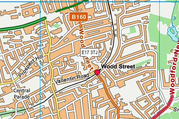 E17 3TJ map - OS VectorMap District (Ordnance Survey) E17 3TJ map - OS VectorMap District (Ordnance Survey)