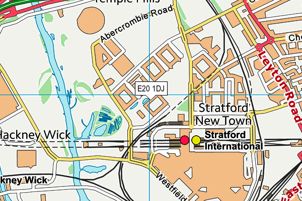 E20 1DJ map - OS VectorMap District (Ordnance Survey) E20 1DJ map - OS VectorMap District (Ordnance Survey)