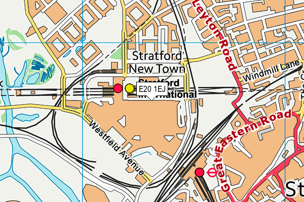 E20 1EJ map - OS VectorMap District (Ordnance Survey) E20 1EJ map - OS VectorMap District (Ordnance Survey)
