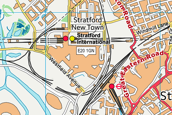 E20 1GN map - OS VectorMap District (Ordnance Survey) E20 1GN map - OS VectorMap District (Ordnance Survey)
