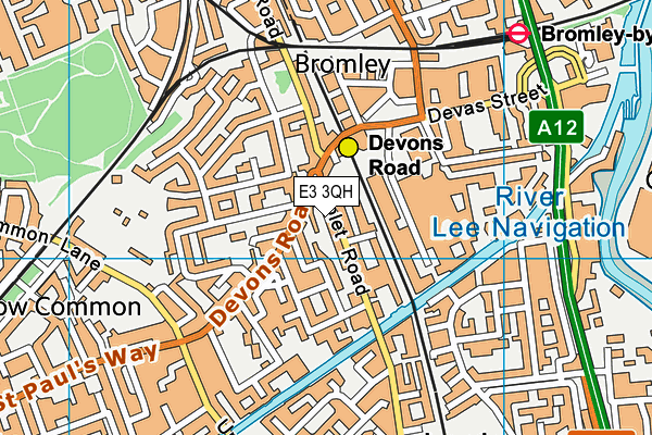 E3 3QH map - OS VectorMap District (Ordnance Survey)
