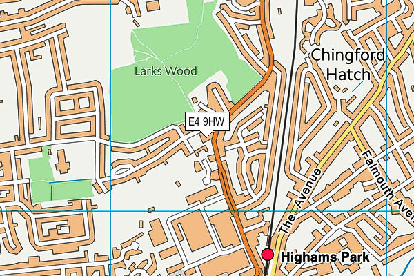 E4 9HW map - OS VectorMap District (Ordnance Survey) E4 9HW map - OS VectorMap District (Ordnance Survey)