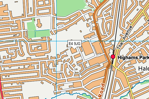 E4 9JG map - OS VectorMap District (Ordnance Survey) E4 9JG map - OS VectorMap District (Ordnance Survey)