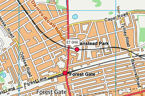 E7 0HX map - OS VectorMap District (Ordnance Survey) E7 0HX map - OS VectorMap District (Ordnance Survey)