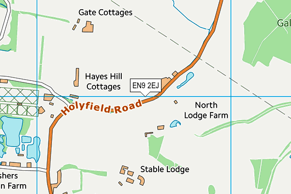 EN9 2EJ map - OS VectorMap District (Ordnance Survey) EN9 2EJ map - OS VectorMap District (Ordnance Survey)