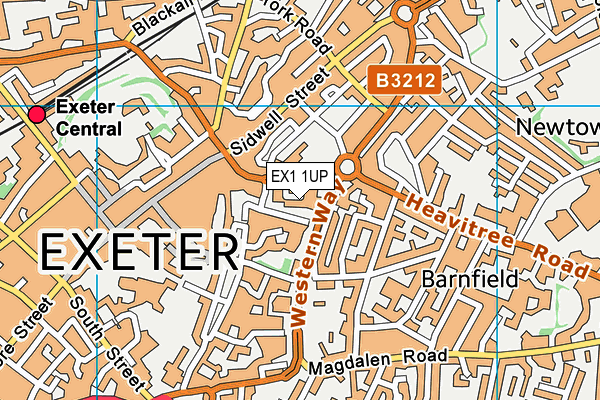 EX1 1UP map - OS VectorMap District (Ordnance Survey) EX1 1UP map - OS VectorMap District (Ordnance Survey)