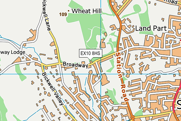 EX10 8HS map - OS VectorMap District (Ordnance Survey) EX10 8HS map - OS VectorMap District (Ordnance Survey)