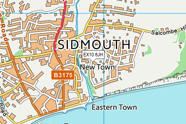 EX10 8JH map - OS VectorMap District (Ordnance Survey) EX10 8JH map - OS VectorMap District (Ordnance Survey)