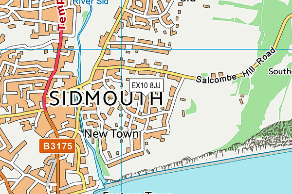 EX10 8JJ map - OS VectorMap District (Ordnance Survey) EX10 8JJ map - OS VectorMap District (Ordnance Survey)