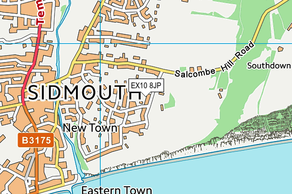 EX10 8JP map - OS VectorMap District (Ordnance Survey) EX10 8JP map - OS VectorMap District (Ordnance Survey)