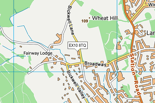 EX10 8TQ map - OS VectorMap District (Ordnance Survey) EX10 8TQ map - OS VectorMap District (Ordnance Survey)