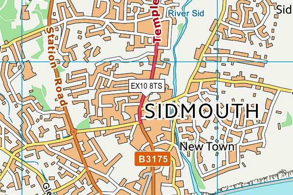 EX10 8TS map - OS VectorMap District (Ordnance Survey) EX10 8TS map - OS VectorMap District (Ordnance Survey)