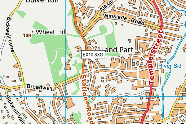 EX10 8XG map - OS VectorMap District (Ordnance Survey) EX10 8XG map - OS VectorMap District (Ordnance Survey)