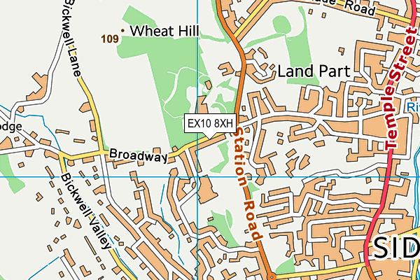 EX10 8XH map - OS VectorMap District (Ordnance Survey) EX10 8XH map - OS VectorMap District (Ordnance Survey)