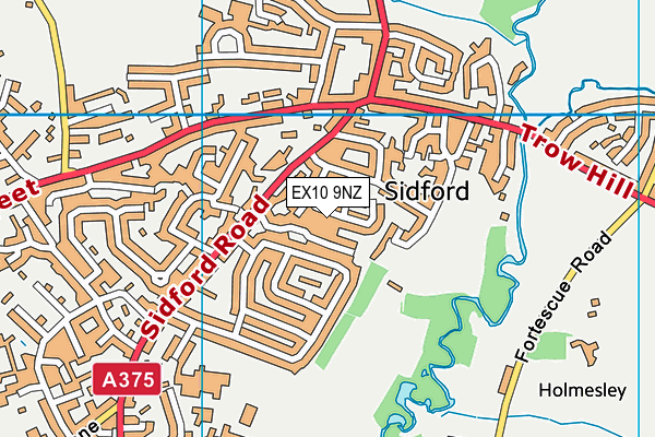 EX10 9NZ map - OS VectorMap District (Ordnance Survey) EX10 9NZ map - OS VectorMap District (Ordnance Survey)