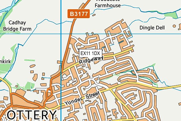 EX11 1DX map - OS VectorMap District (Ordnance Survey) EX11 1DX map - OS VectorMap District (Ordnance Survey)