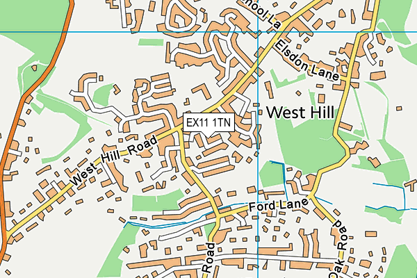 EX11 1TN map - OS VectorMap District (Ordnance Survey)