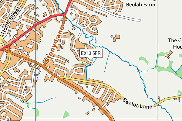 EX13 5FR map - OS VectorMap District (Ordnance Survey) EX13 5FR map - OS VectorMap District (Ordnance Survey)