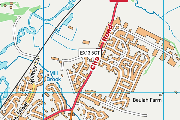 EX13 5GT map - OS VectorMap District (Ordnance Survey) EX13 5GT map - OS VectorMap District (Ordnance Survey)