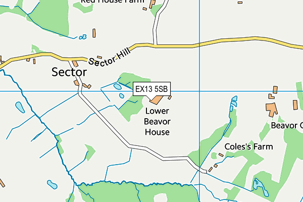 EX13 5SB map - OS VectorMap District (Ordnance Survey) EX13 5SB map - OS VectorMap District (Ordnance Survey)