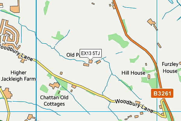 EX13 5TJ map - OS VectorMap District (Ordnance Survey) EX13 5TJ map - OS VectorMap District (Ordnance Survey)