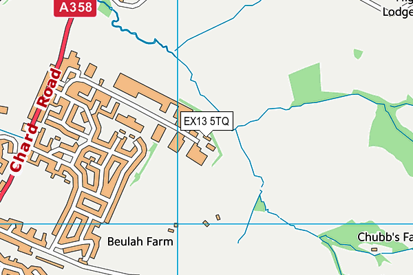 EX13 5TQ map - OS VectorMap District (Ordnance Survey) EX13 5TQ map - OS VectorMap District (Ordnance Survey)