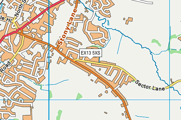 EX13 5XS map - OS VectorMap District (Ordnance Survey) EX13 5XS map - OS VectorMap District (Ordnance Survey)