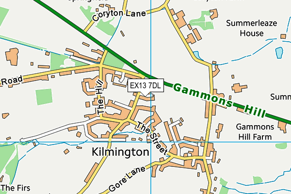 EX13 7DL map - OS VectorMap District (Ordnance Survey) EX13 7DL map - OS VectorMap District (Ordnance Survey)